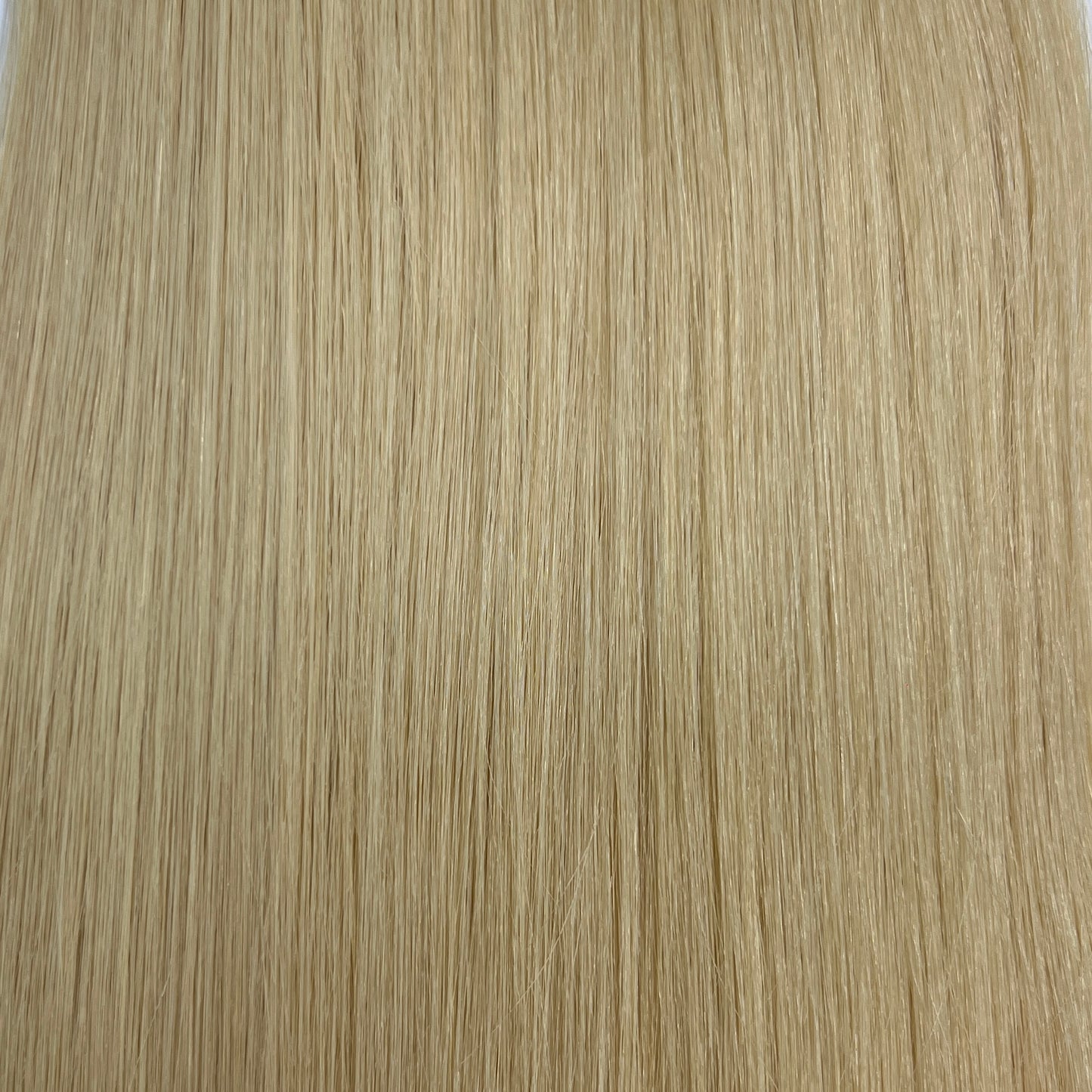 エコノミークラス シールエクステ 40本入 49cm