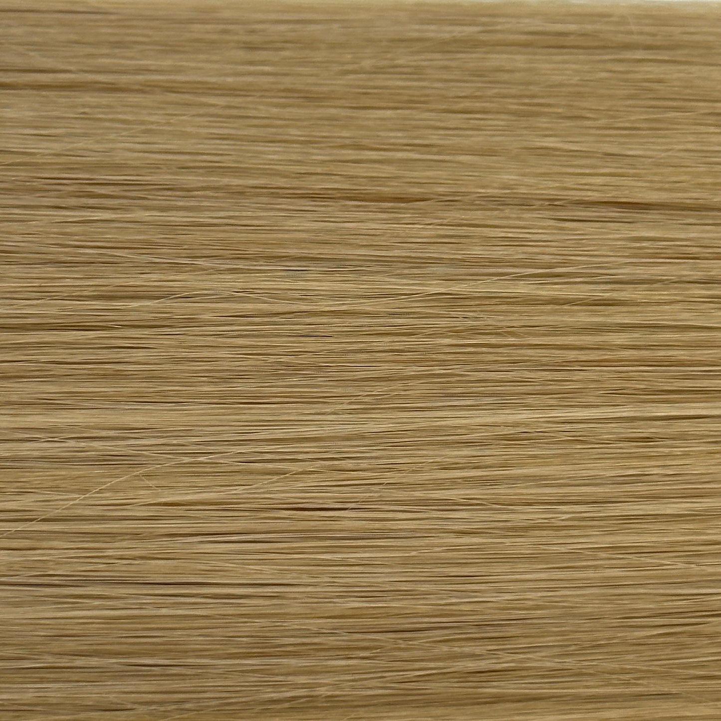 人毛100% エコノミークラス シールエクステ 49cm 40本入 - コスパNo.1