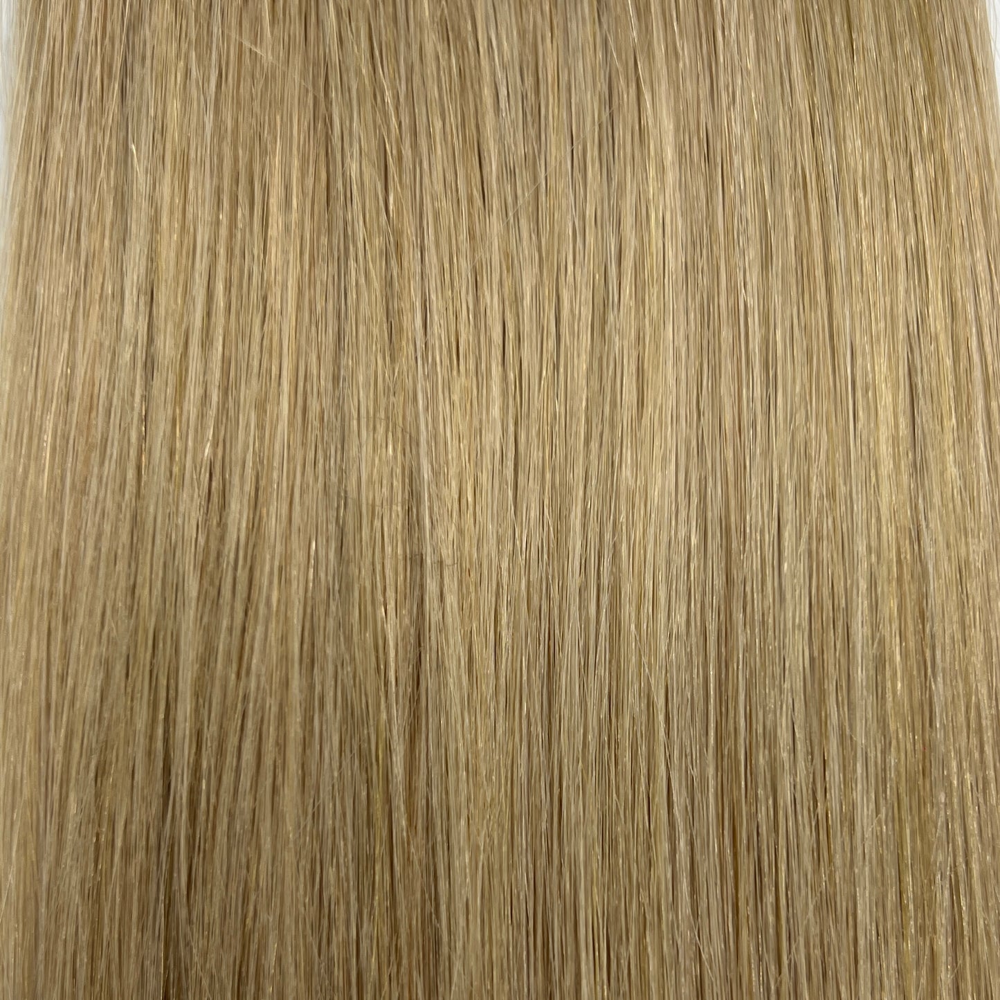 エコノミークラス シールエクステ 40本入 49cm