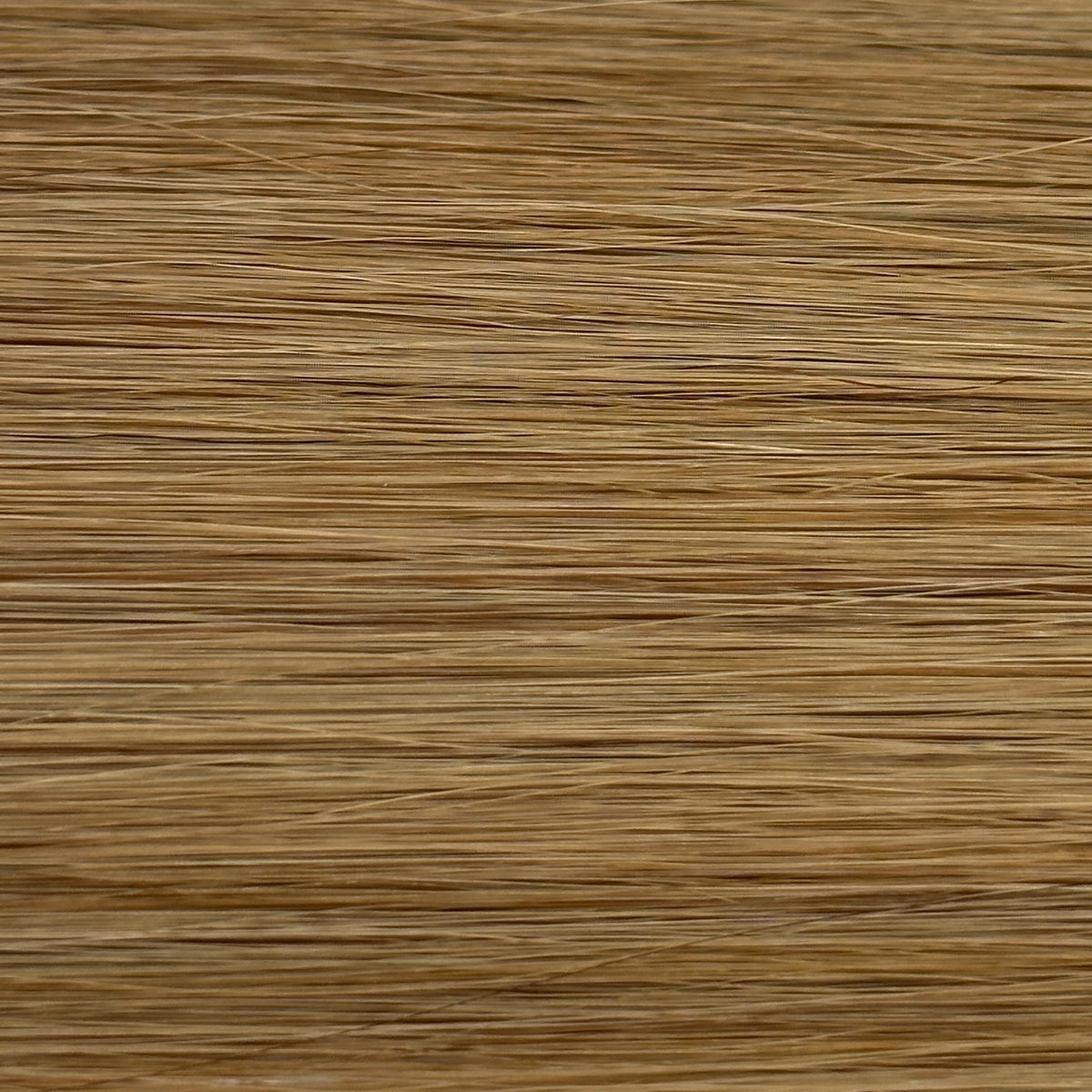 NOT EXTENSION 53cm　厳選人毛100%